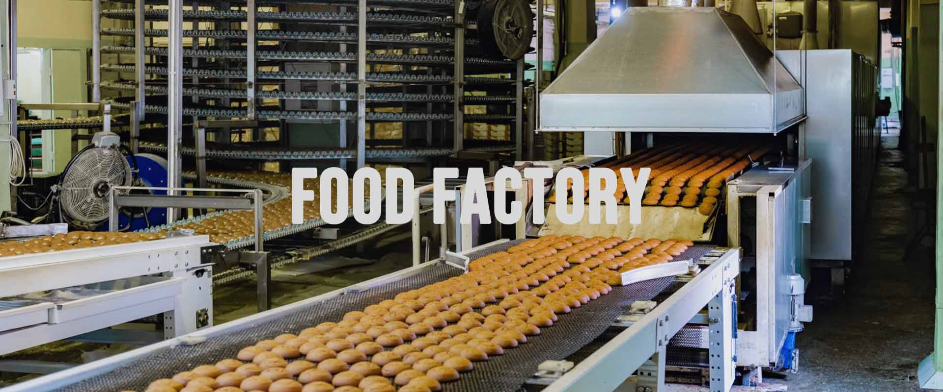 Confectionery factory. Production line of baking cookies. Selective focus