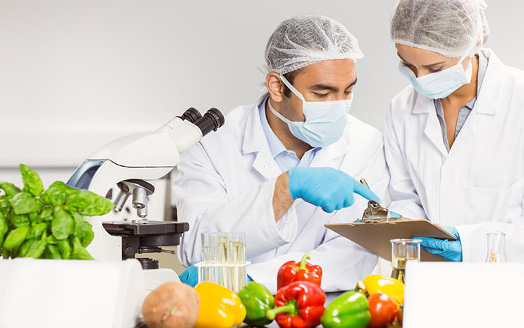 Food Safety Consulting Services