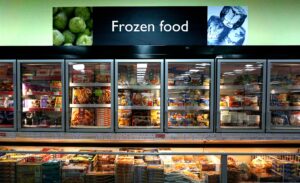 Frozen Food Consultant India