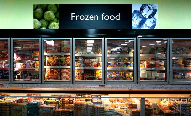 Frozen Food Consultant India
